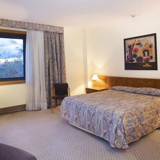 Hotel-Vilafranca-Penedes-Hotel-Domo-Habitacion-DOBLE-CAMA-MATRIMONIO-1024x683 (1)
